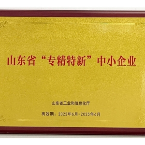 山東省“專(zhuān)精特新”中小企業(yè)